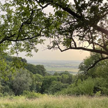 Naturheilraum St. Andrä 2023_3